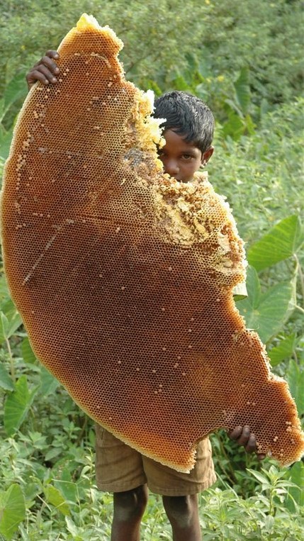 Android Honeycomb? Toto je poriadny Honeycomb!